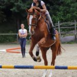 Scuola di equitazione a Darfo Boario Terme