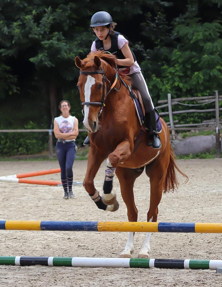 Scuola di equitazione a Darfo Boario Terme